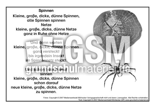 Spinnen-SW.pdf